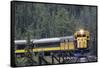 Alaska Railroad Train, Denali National Park, Alaska, USA-Gerry Reynolds-Framed Stretched Canvas