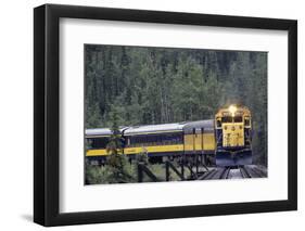 Alaska Railroad Train, Denali National Park, Alaska, USA-Gerry Reynolds-Framed Photographic Print