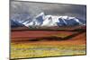 Alaska Range, Autumn, Taiga, Denali National Park, Alaska, USA-Michel Hersen-Mounted Photographic Print