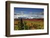 Alaska Range, Autumn, Taiga, Denali National Park, Alaska, USA-Michel Hersen-Framed Photographic Print