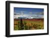 Alaska Range, Autumn, Taiga, Denali National Park, Alaska, USA-Michel Hersen-Framed Photographic Print