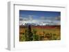 Alaska Range, Autumn, Taiga, Denali National Park, Alaska, USA-Michel Hersen-Framed Photographic Print