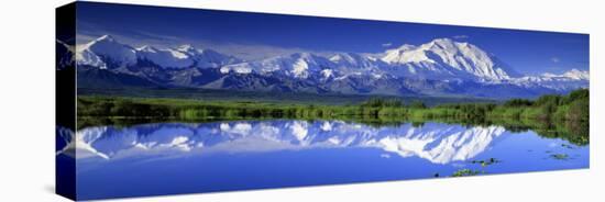 Alaska Range, Denali National Park, Alaska, USA-null-Stretched Canvas