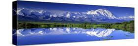 Alaska Range, Denali National Park, Alaska, USA-null-Stretched Canvas