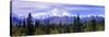 Alaska Range, Denali National Park, Alaska, USA-null-Stretched Canvas