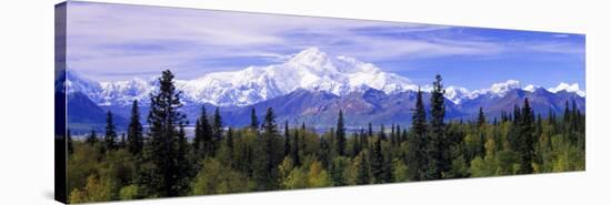 Alaska Range, Denali National Park, Alaska, USA-null-Stretched Canvas