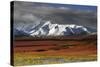 Alaska Range in Autumn, Taiga, Denali National Park, Alaska, USA-Michel Hersen-Stretched Canvas