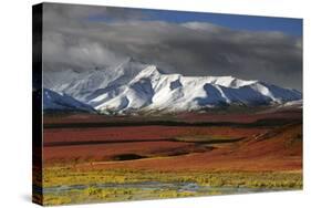 Alaska Range in Autumn, Taiga, Denali National Park, Alaska, USA-Michel Hersen-Stretched Canvas