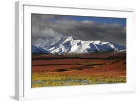 Alaska Range in Autumn, Taiga, Denali National Park, Alaska, USA-Michel Hersen-Framed Photographic Print