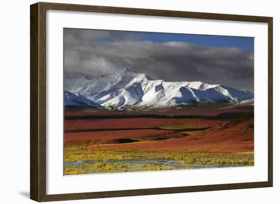 Alaska Range in Autumn, Taiga, Denali National Park, Alaska, USA-Michel Hersen-Framed Photographic Print