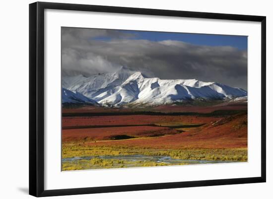 Alaska Range in Autumn, Taiga, Denali National Park, Alaska, USA-Michel Hersen-Framed Photographic Print