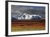 Alaska Range in Autumn, Taiga, Denali National Park, Alaska, USA-Michel Hersen-Framed Photographic Print