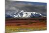 Alaska Range in Autumn, Taiga, Denali National Park, Alaska, USA-Michel Hersen-Mounted Photographic Print