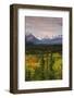 Alaska Range in Autumn, Taiga, Tundra, Denali National Park, Alaska, USA-Michel Hersen-Framed Photographic Print