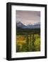 Alaska Range in Autumn, Taiga, Tundra, Denali National Park, Alaska, USA-Michel Hersen-Framed Photographic Print