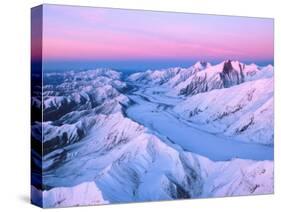 Alaska Range with Alpen Glow, Denali National Park, Alaska, USA-Dee Ann Pederson-Stretched Canvas