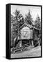 Alaska - Richardson Hwy; A Trapper's Cache-Lantern Press-Framed Stretched Canvas