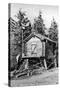 Alaska - Richardson Hwy; A Trapper's Cache-Lantern Press-Stretched Canvas