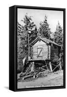 Alaska - Richardson Hwy; A Trapper's Cache-Lantern Press-Framed Stretched Canvas