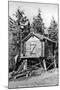 Alaska - Richardson Hwy; A Trapper's Cache-Lantern Press-Mounted Art Print