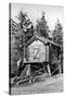 Alaska - Richardson Hwy; A Trapper's Cache-Lantern Press-Stretched Canvas