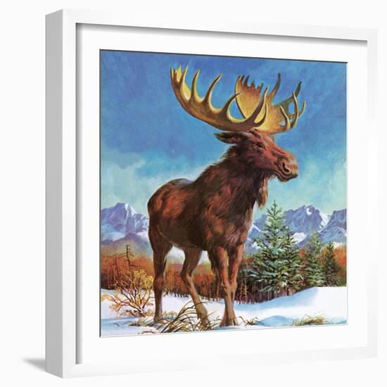 Alaska's Mighty Moose-English School-Framed Giclee Print