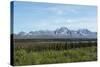 Alaska's Wilderness-cec72-Stretched Canvas