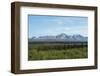 Alaska's Wilderness-cec72-Framed Photographic Print