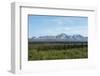 Alaska's Wilderness-cec72-Framed Photographic Print