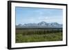 Alaska's Wilderness-cec72-Framed Photographic Print