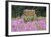 Alaska. Sign at Kenai Peninsula Entrance-Jaynes Gallery-Framed Photographic Print