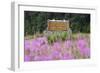 Alaska. Sign at Kenai Peninsula Entrance-Jaynes Gallery-Framed Photographic Print