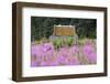 Alaska. Sign at Kenai Peninsula Entrance-Jaynes Gallery-Framed Photographic Print