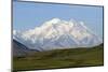 Alaska, Usa, Denali National Park. the 6-William Gray-Mounted Photographic Print