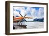 Alaska USA III-null-Framed Art Print