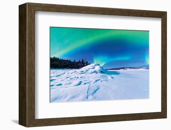 Alaska USA IV-null-Framed Art Print