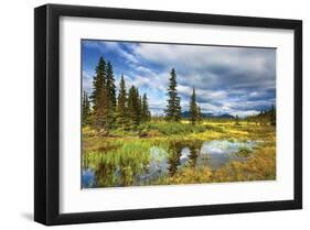 Alaska USA IX-null-Framed Art Print