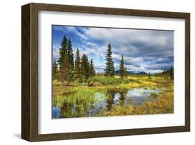 Alaska USA IX-null-Framed Art Print