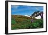 Alaska USA V-null-Framed Art Print