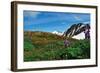 Alaska USA V-null-Framed Art Print