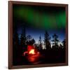 Alaska USA VI-null-Framed Art Print