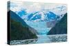 Alaska USA VII-null-Stretched Canvas