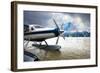 Alaska USA XI-null-Framed Art Print