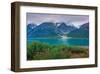 Alaska USA XII-null-Framed Art Print