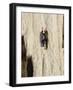 Alaska, USA-null-Framed Photographic Print