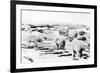 Alaska View of 6 huge Polar Bears Hunting Photograph-Lantern Press-Framed Art Print