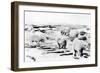 Alaska View of 6 huge Polar Bears Hunting Photograph-Lantern Press-Framed Art Print