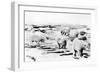 Alaska View of 6 huge Polar Bears Hunting Photograph-Lantern Press-Framed Art Print