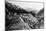 Alaska - View of Dead Horse Gulch along White Pass and Yukon Route-Lantern Press-Mounted Art Print