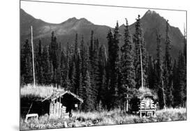 Alaska - View of Trapper's Cabin and Cache-Lantern Press-Mounted Art Print